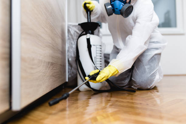 Best Local Pest Control Services  in New Berlin, WI
