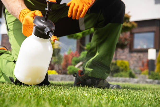 Best Pest Inspection Near Me  in New Berlin, WI