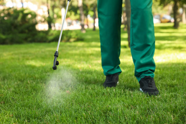 Best Termite Control Services  in New Berlin, WI