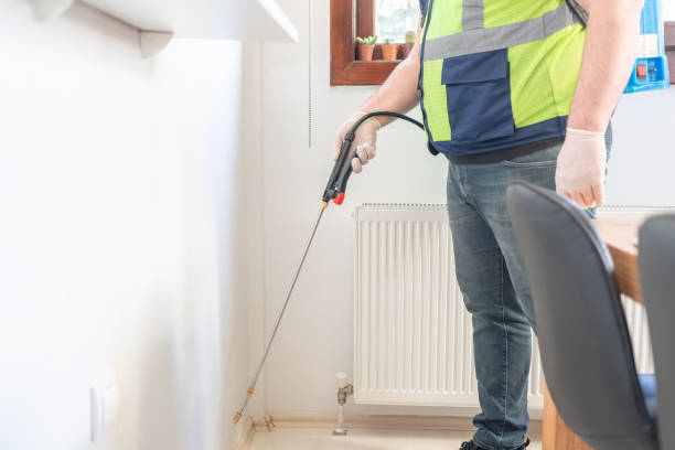 Best Ant Control Services  in New Berlin, WI