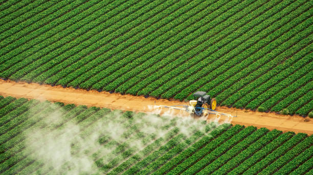 Best Mosquito Control Services  in New Berlin, WI