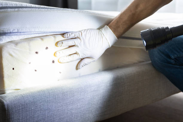 New Berlin, WI Pest Control Company